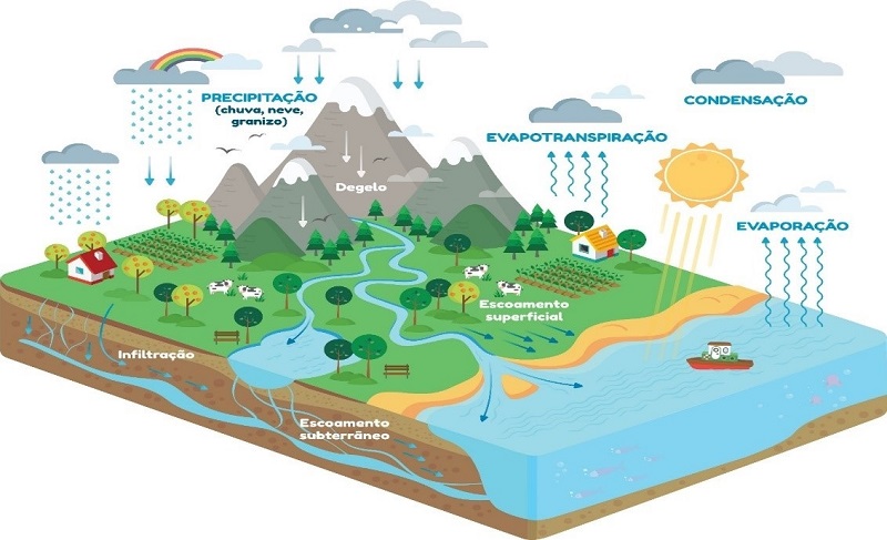 O Ciclo d'água, The water cycle, Portuguese