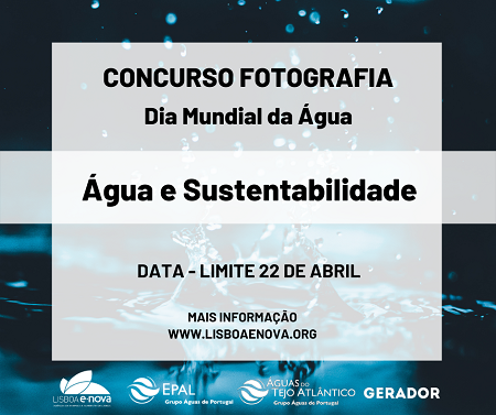 concurso fotografia