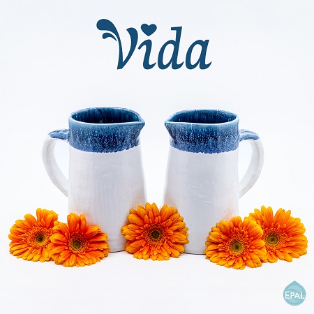 jarro vida